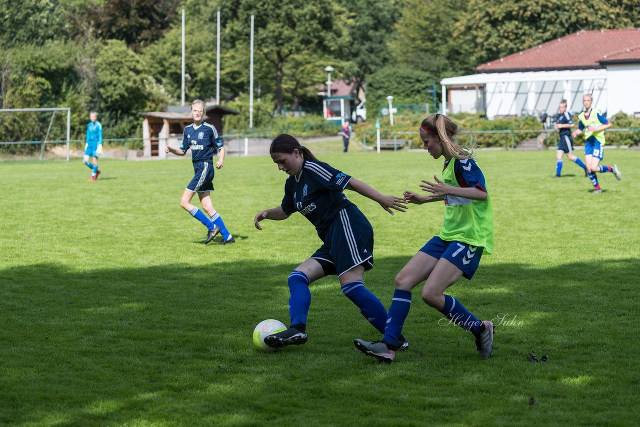 Bild 281 - B-Juniorinnen VfL Pinneberg - HSV : Ergebnis: 1:4